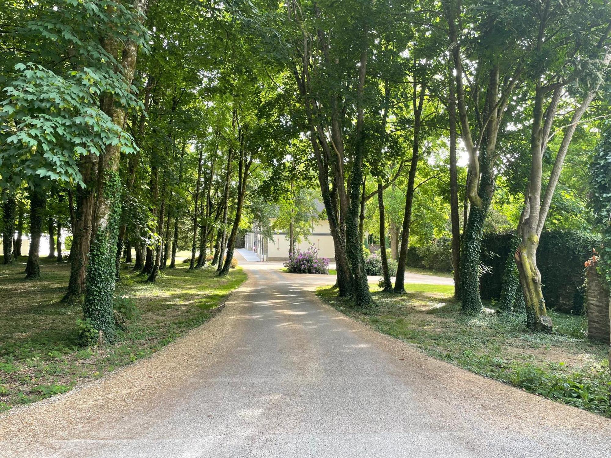 Chateau De Lannouan Landevant Ngoại thất bức ảnh